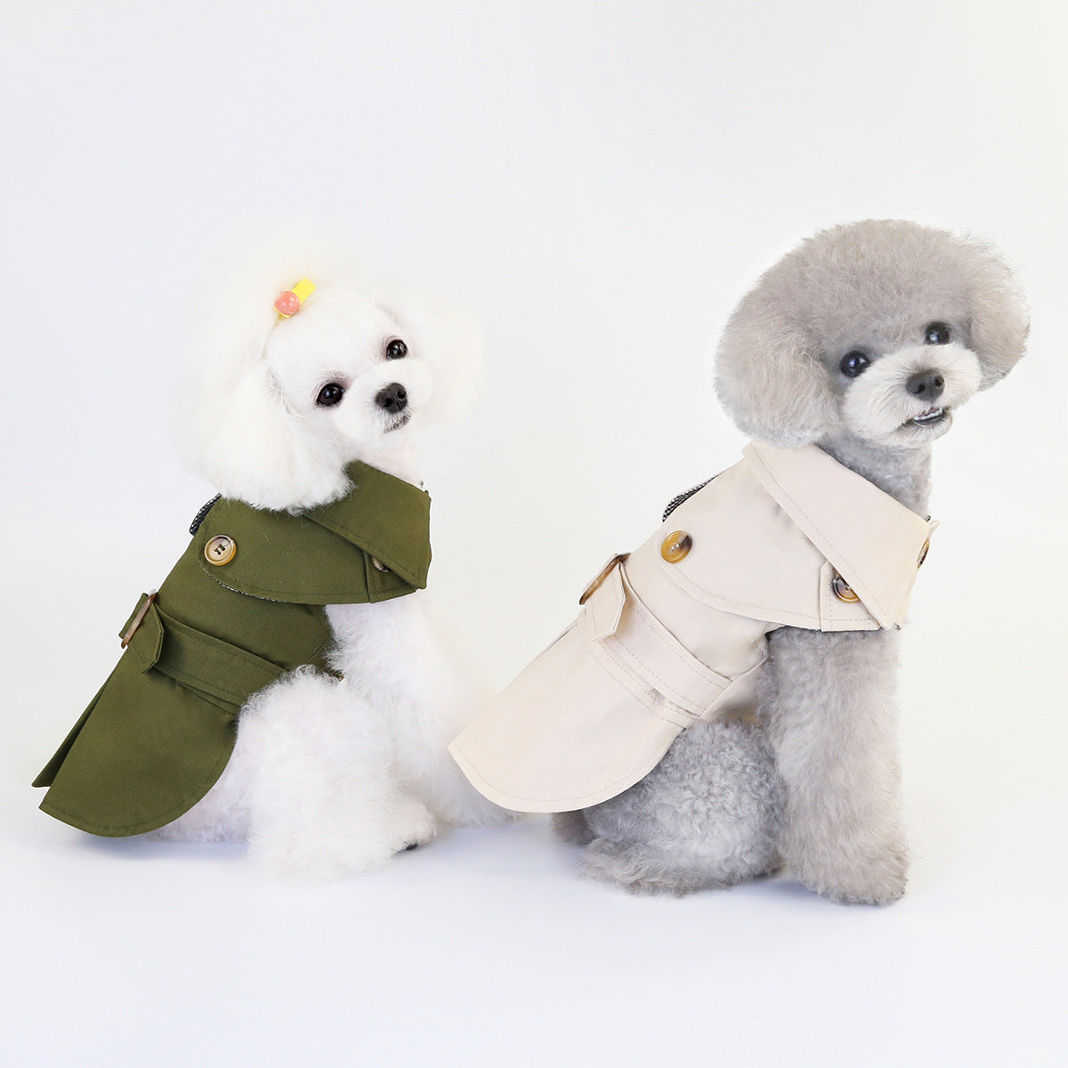 vêtements pour animaux de compagnie