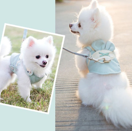 Ensemble de laisse de harnais pour chien mignon