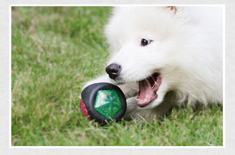 Balle jouet pour chien