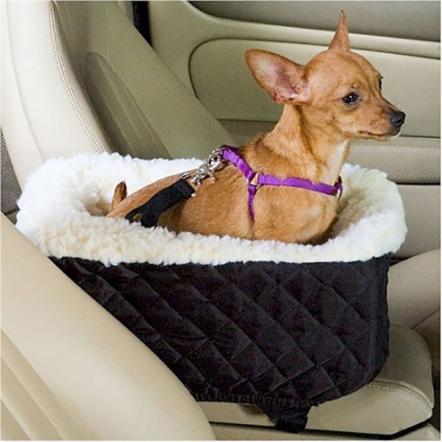 Cesta para mascotas para coche, alfombrilla para perros, nido para mascotas para coche 
