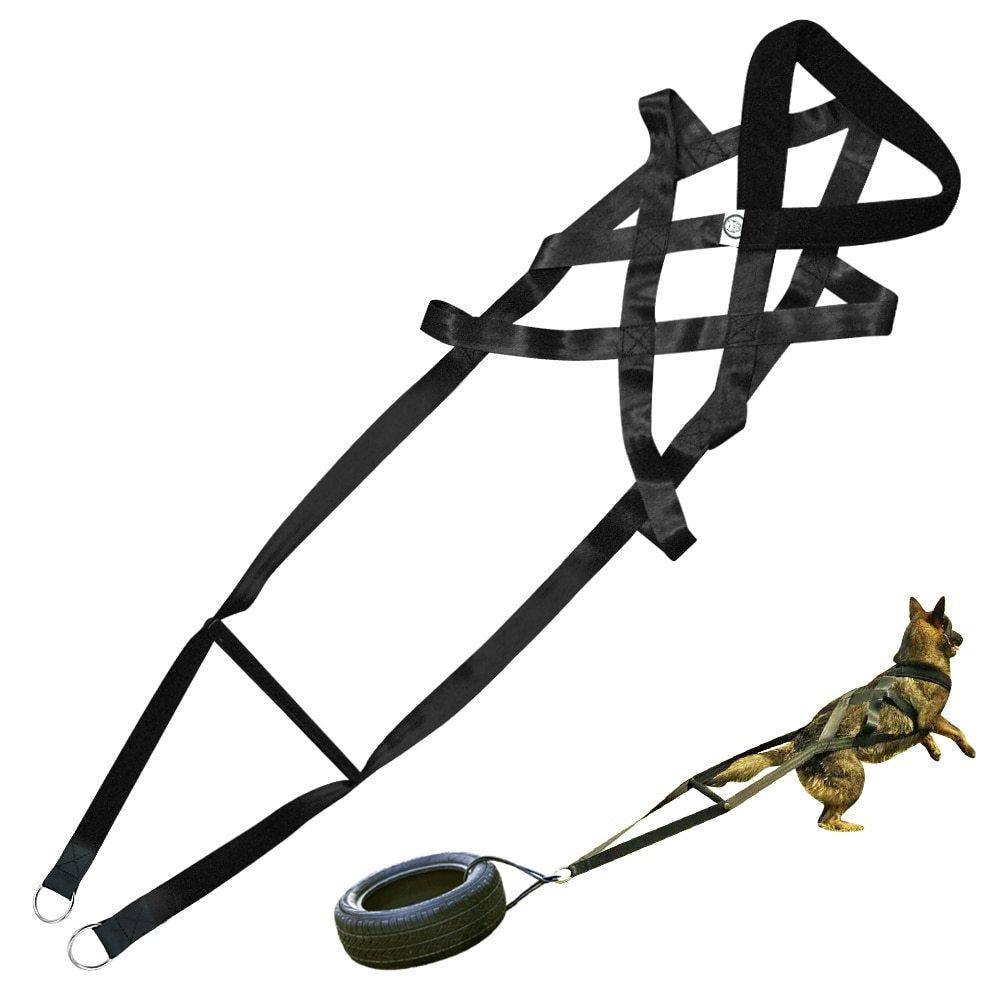 Suministros para adiestramiento de perros Suministros para perros Correas Correas para el pecho