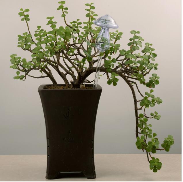 Regaderas automáticas de vidrio para pájaros, regaderas de flores, plantas decorativas, dispositivo de riego de vidrio transparente, planta de interior