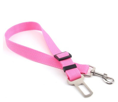 Sangle fixe en polyester pour chien, laisse pour chien, laisse pour chien