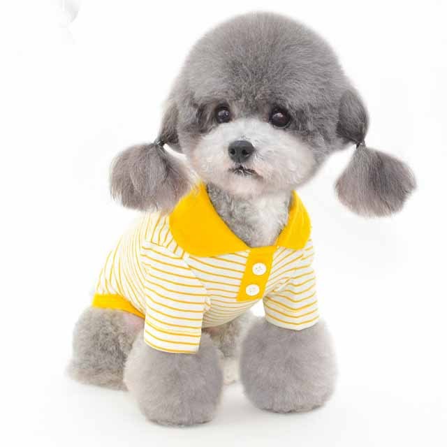 Vêtements pour animaux de compagnie