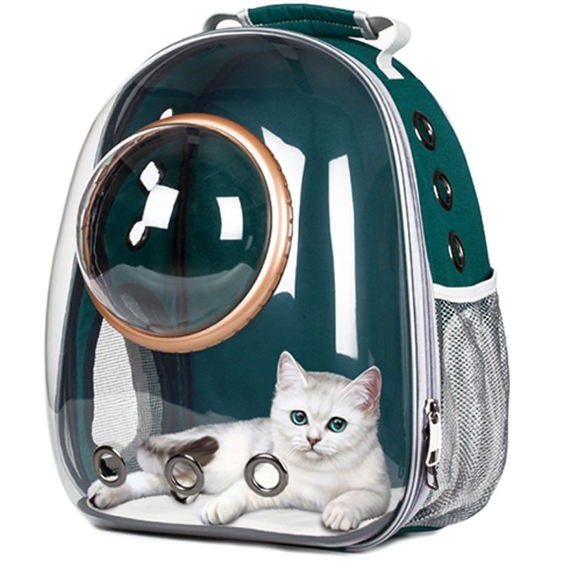 Sac pour chat, sac spatial entièrement transparent pour animaux de compagnie