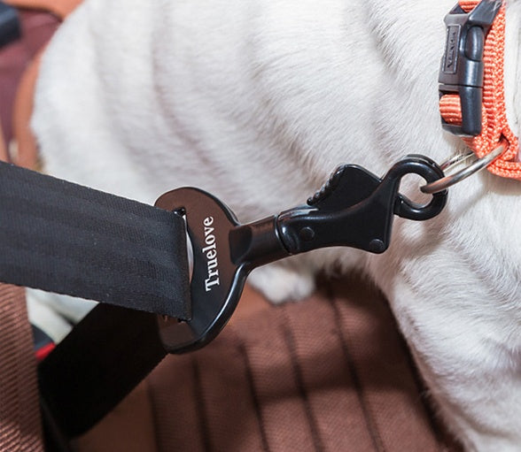 Ceinture de sécurité pour chien