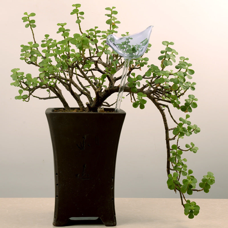 Regaderas automáticas de vidrio para pájaros, regaderas de flores, plantas decorativas, dispositivo de riego de vidrio transparente, planta de interior