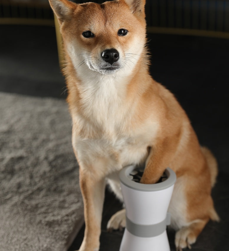 Gobelets électriques pour laver les pieds des animaux