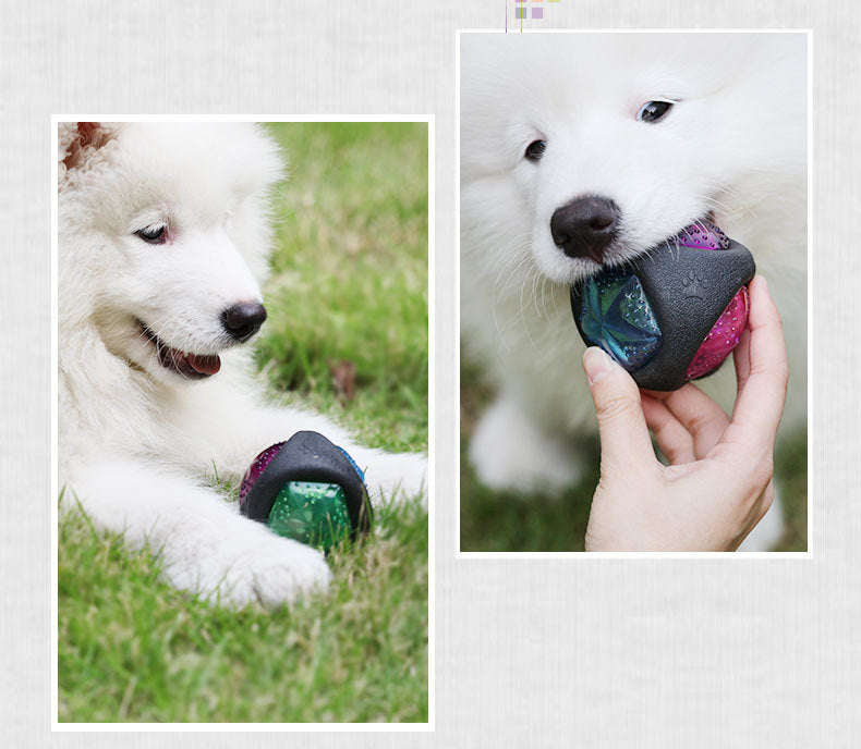 Balle jouet pour chien