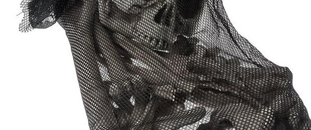 Halloween Skeleton Bones 28pcs Halloween Prop Squelette Crâne Maison Hantée Horreur Accessoire Décorations De Fête Tricky Bones Crâne