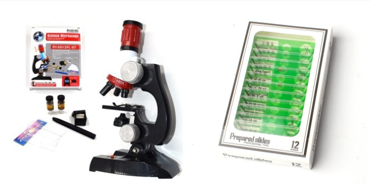 Microscope des sciences biologiques et de l'éducation des enfants