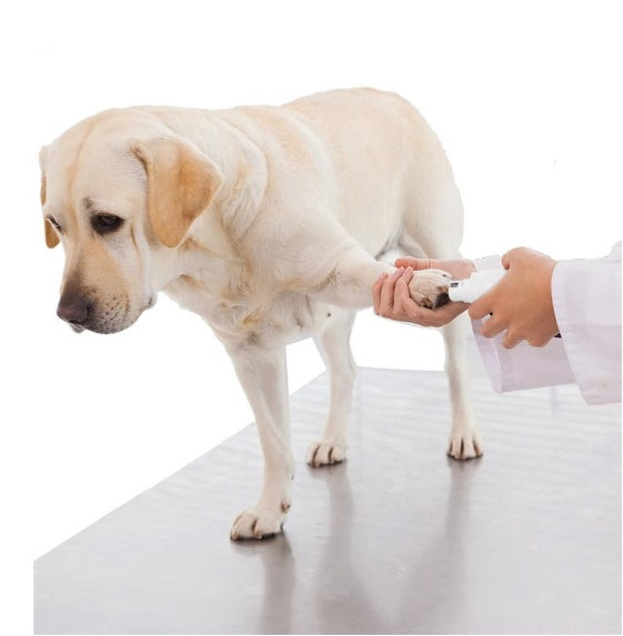 UEETEK Broyeur à ongles électrique pour animaux de compagnie avec batterie au lithium rechargeable Tondeuse de toilettage indolore pour chien chat lapin et autres animaux domestiques de toutes tailles