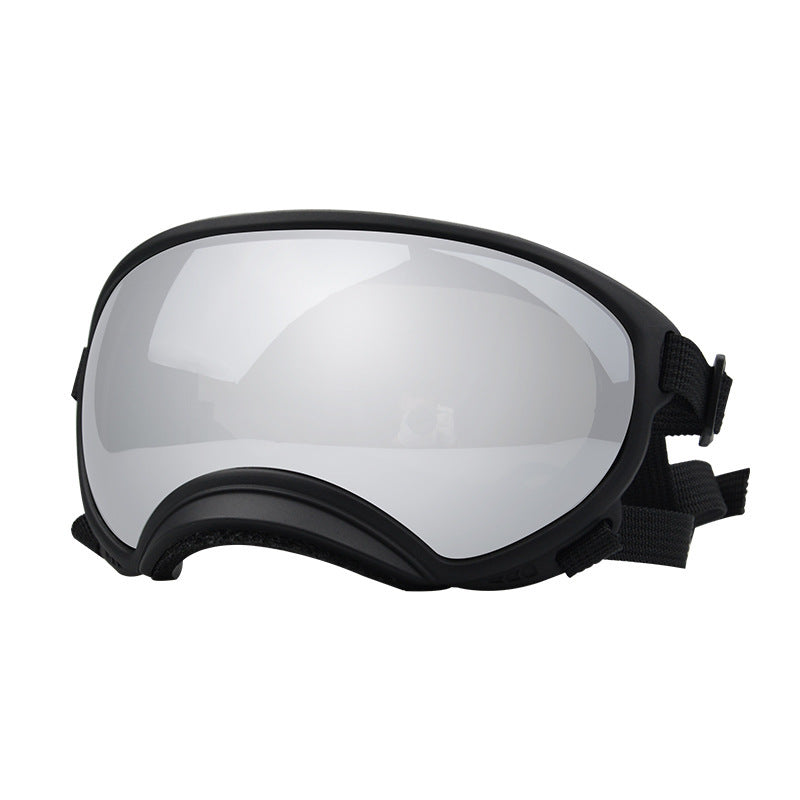 Lunettes de protection contre le vent pour chien Ski Pet