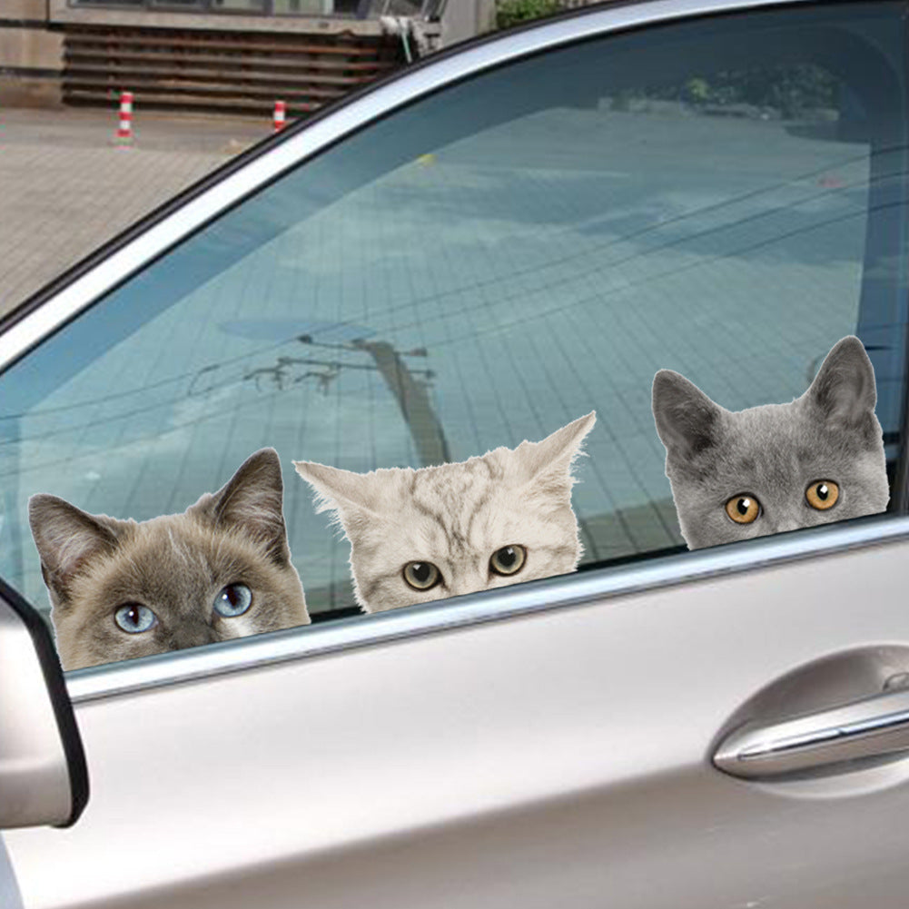Autocollants drôles de voiture 3D chat chien demi-visage furtif - 5 autocollants