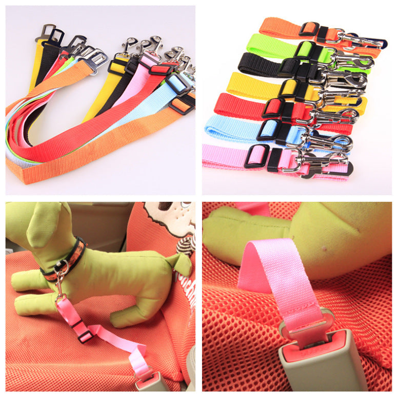 Sangle fixe en polyester pour chien, laisse pour chien, laisse pour chien
