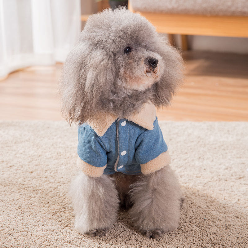 Ropa gruesa y abrigada para mascotas.