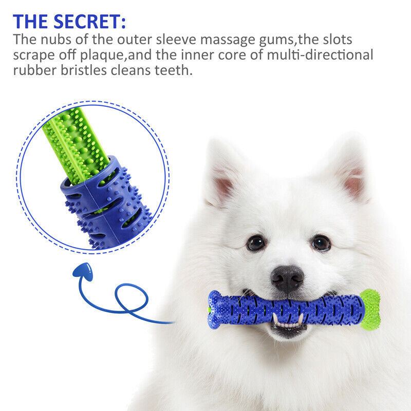 Jouets pour chiens brosse à dents TPR mâcher morsure nettoyage des dents molaire pour animaux de compagnie bâton de brossage chiens brosse à dents à mâcher morsure jouet à mâcher Durable