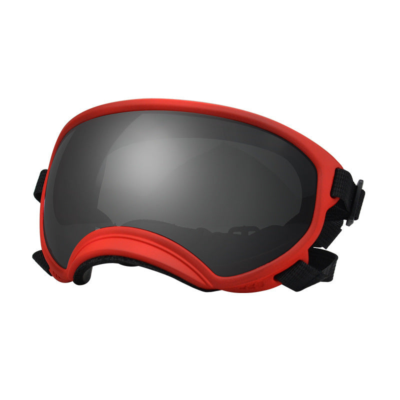 Lunettes de protection contre le vent pour chien Ski Pet