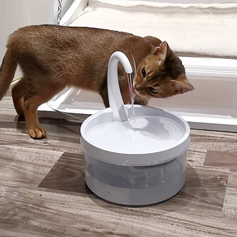 Fournitures pour animaux de compagnie de fontaine à boire pour chat