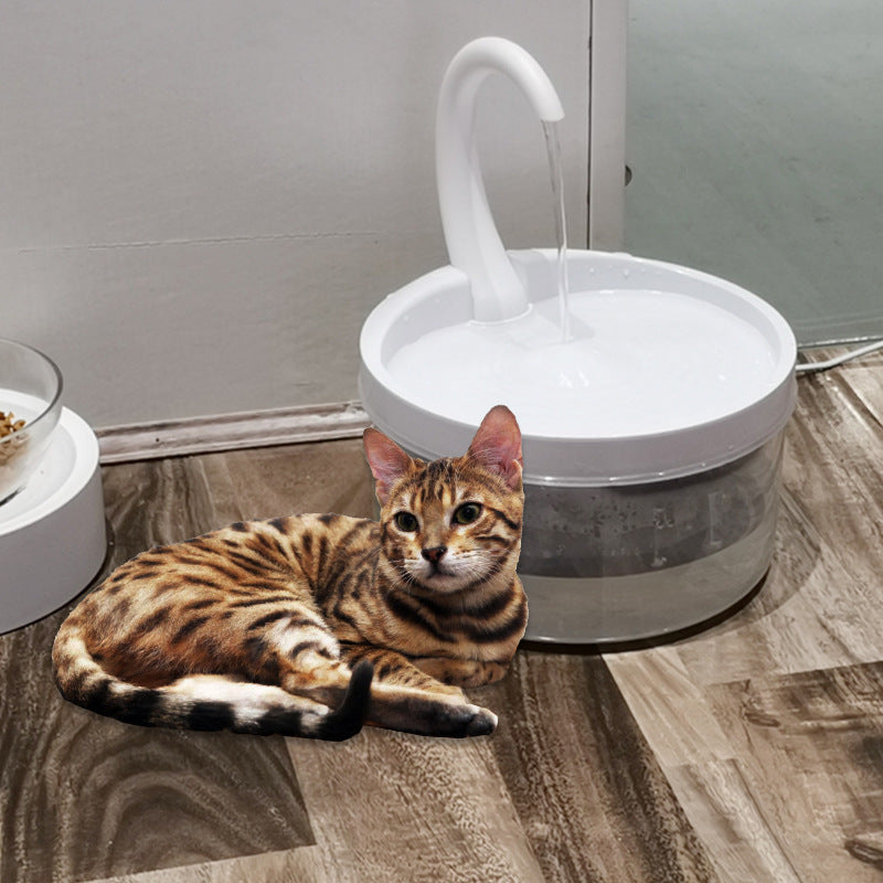 Fournitures pour animaux de compagnie de fontaine à boire pour chat