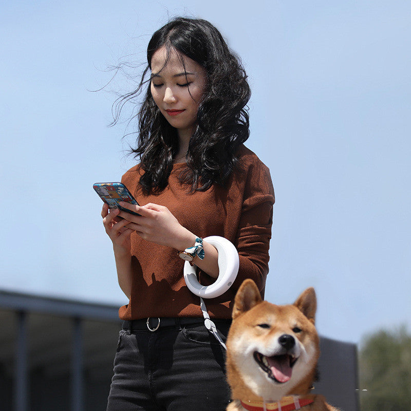 Mignon roi étoile rétractable laisse pour animaux de compagnie chien laisse chien chaîne laisse collier Amazon chaud