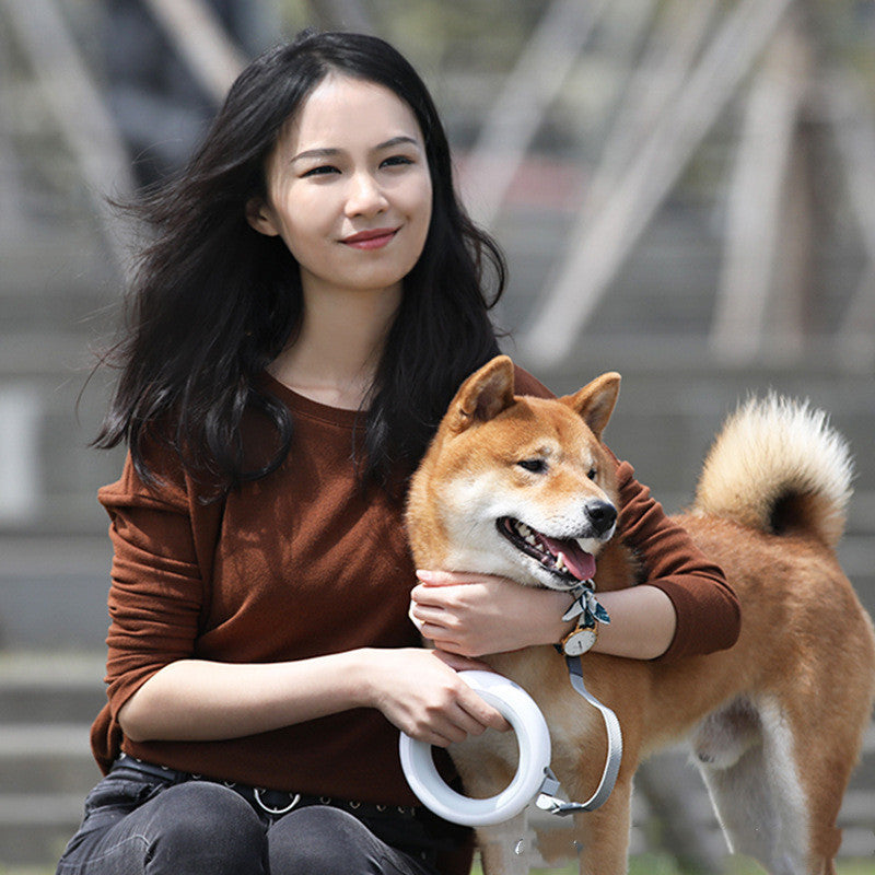 Mignon roi étoile rétractable laisse pour animaux de compagnie chien laisse chien chaîne laisse collier Amazon chaud
