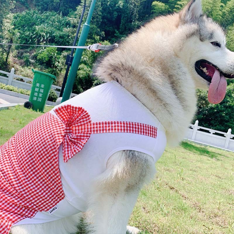 Vêtements pour chiens, Costume de princesse pour chiens, Labrador Golden Retriever, vêtements pour grands chiens