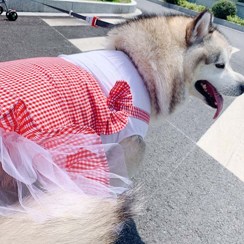 Vêtements pour chiens, Costume de princesse pour chiens, Labrador Golden Retriever, vêtements pour grands chiens