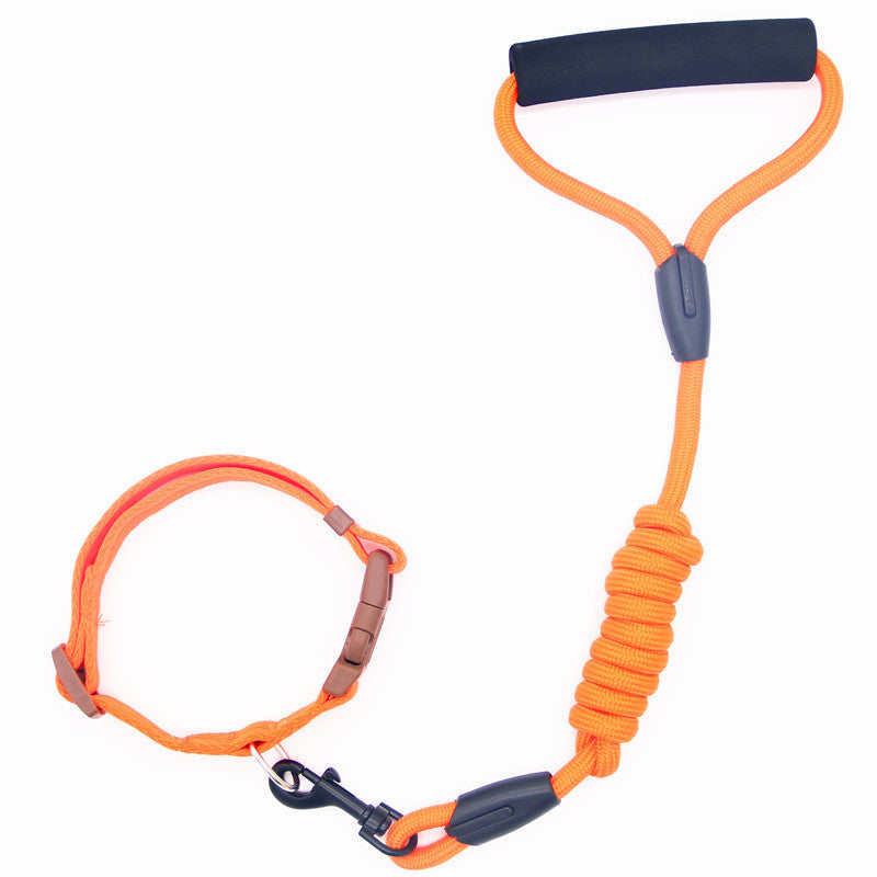 Collier pour chien en laisse pour animaux de compagnie, laisse pour chien, chaîne pour chien