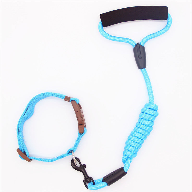 Collier pour chien en laisse pour animaux de compagnie, laisse pour chien, chaîne pour chien