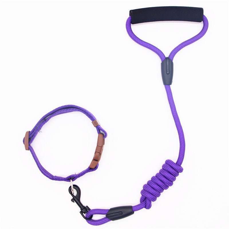 Collier pour chien en laisse pour animaux de compagnie, laisse pour chien, chaîne pour chien