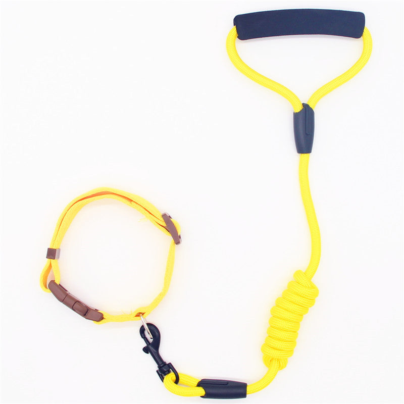 Collier pour chien en laisse pour animaux de compagnie, laisse pour chien, chaîne pour chien