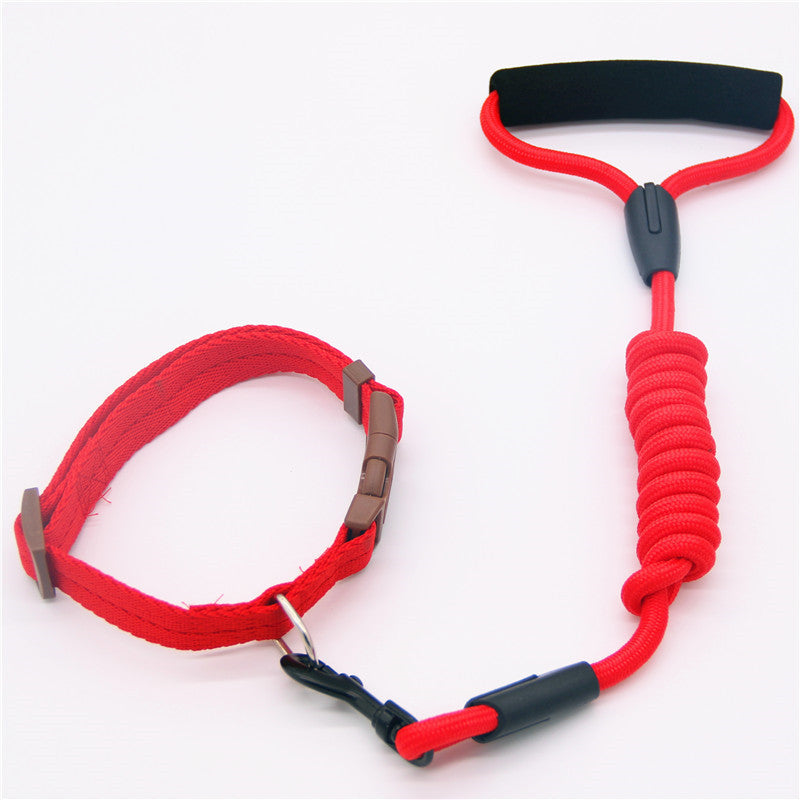 Collier pour chien en laisse pour animaux de compagnie, laisse pour chien, chaîne pour chien