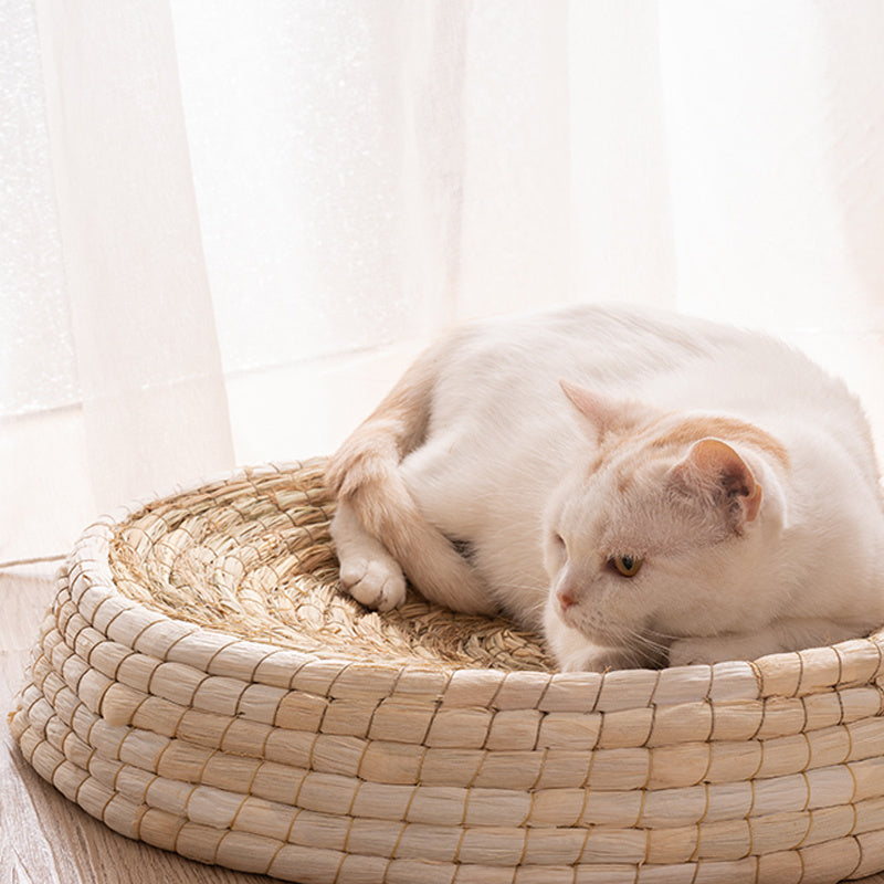 Lit pour chat en feutre Teng Wok