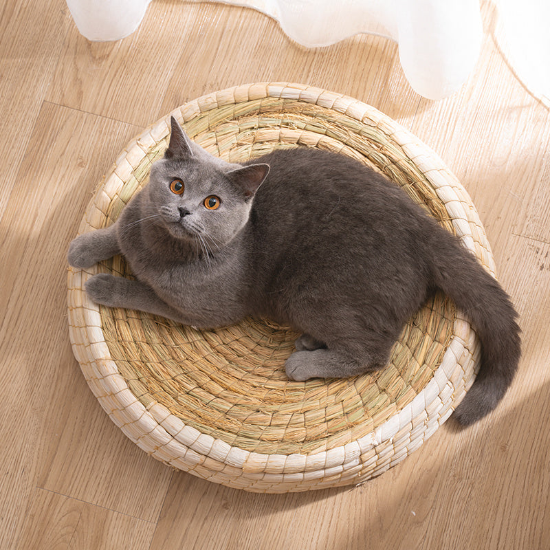 Lit pour chat en feutre Teng Wok