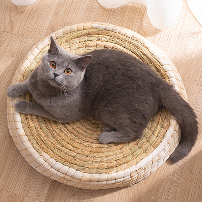 Lit pour chat en feutre Teng Wok