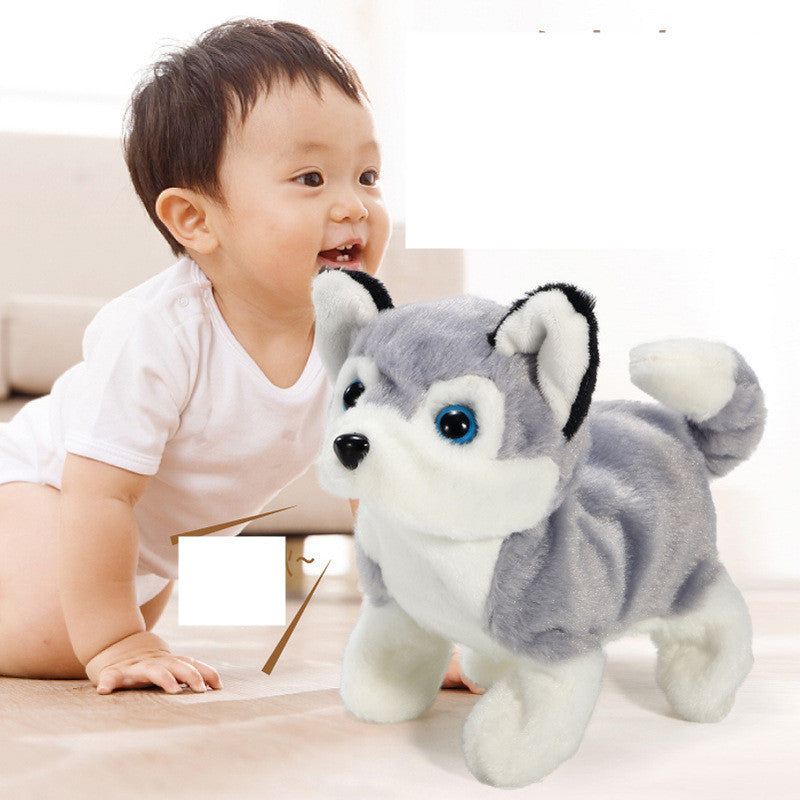 Jouets en peluche animaux électriques pour enfants Corgi Teddy Bunny