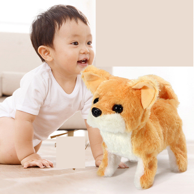 Jouets en peluche animaux électriques pour enfants Corgi Teddy Bunny