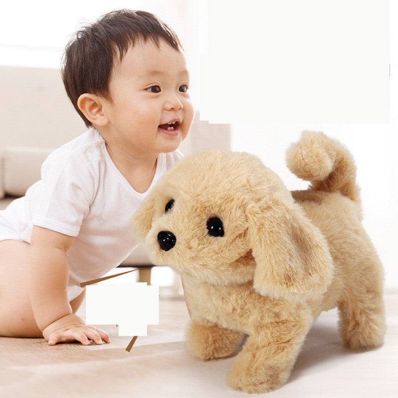 Jouets en peluche animaux électriques pour enfants Corgi Teddy Bunny