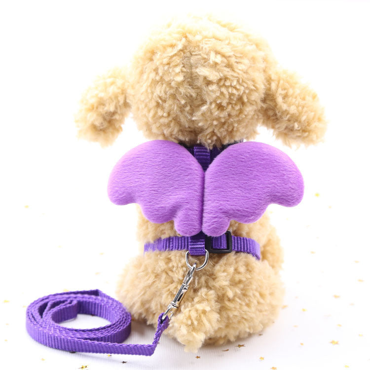 Correas lindas del perro del animal doméstico del ángel