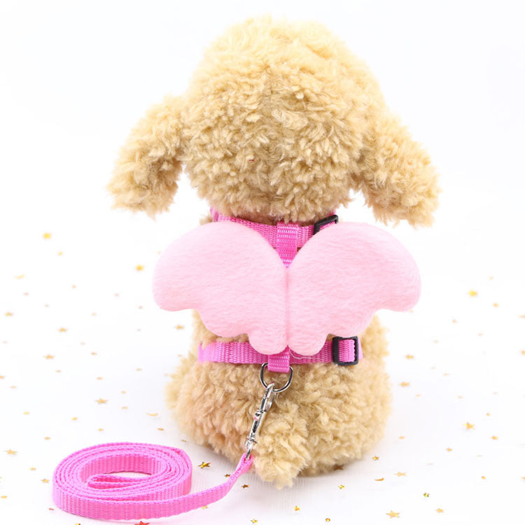 Correas lindas del perro del animal doméstico del ángel