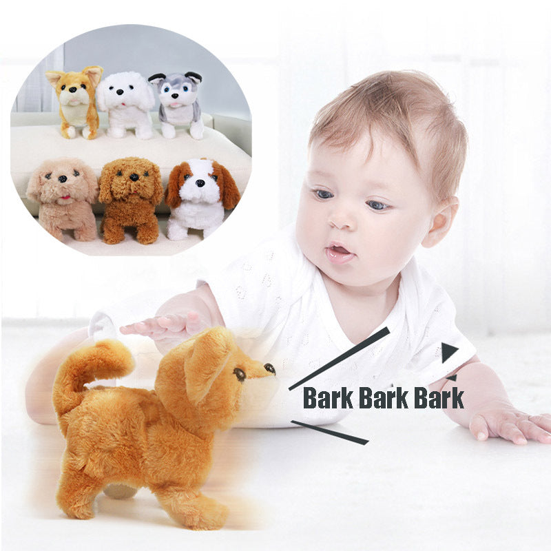 Jouets en peluche animaux électriques pour enfants Corgi Teddy Bunny