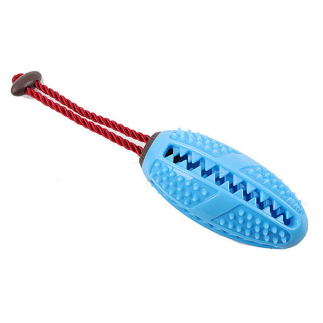 Jouet de brosse à dents à mâcher pour chien