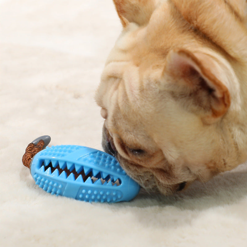 Jouet de brosse à dents à mâcher pour chien