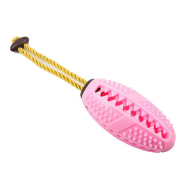 Jouet de brosse à dents à mâcher pour chien