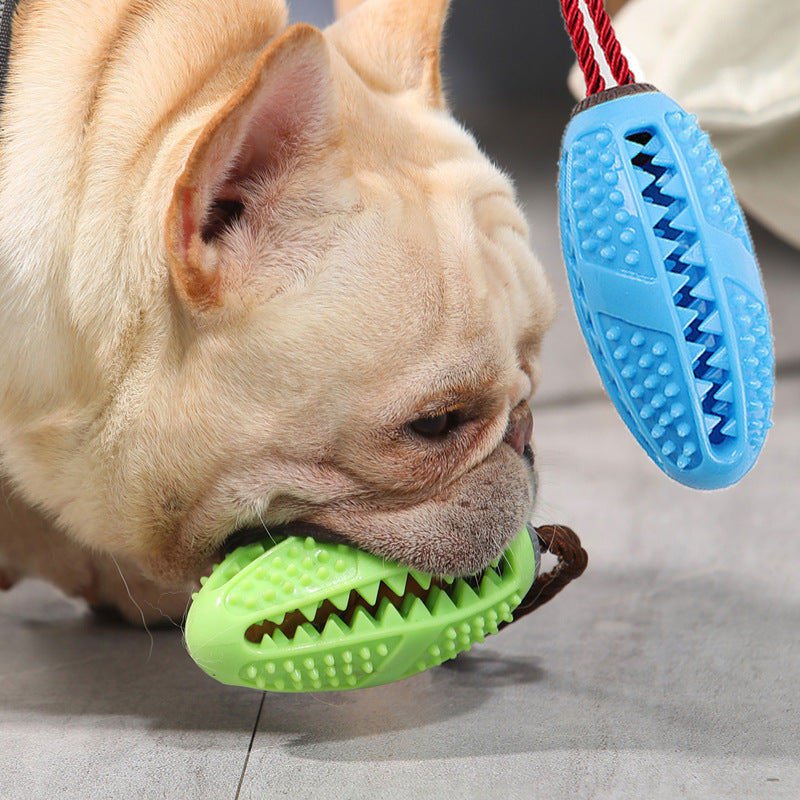Jouet de brosse à dents à mâcher pour chien