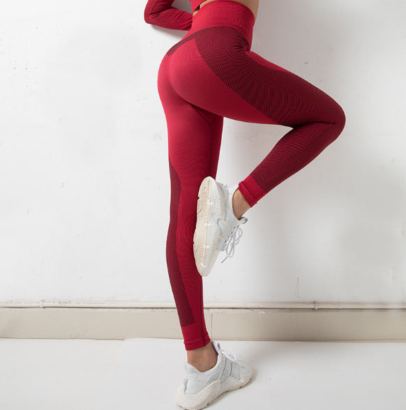 Veste sans couture d'automne et d'hiver, combinaison à fermeture éclair, levage des hanches, vêtements de sport et de Yoga