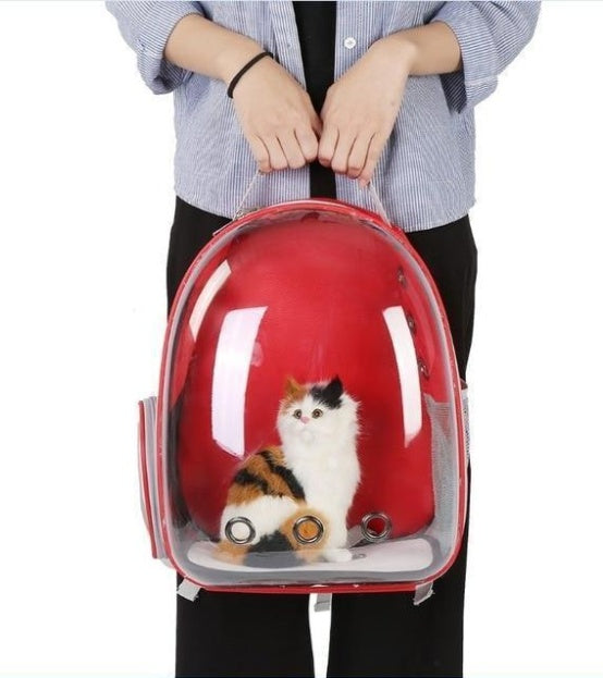 Sac pour chat, sac spatial entièrement transparent pour animaux de compagnie
