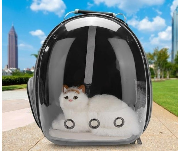 Sac pour chat, sac spatial entièrement transparent pour animaux de compagnie