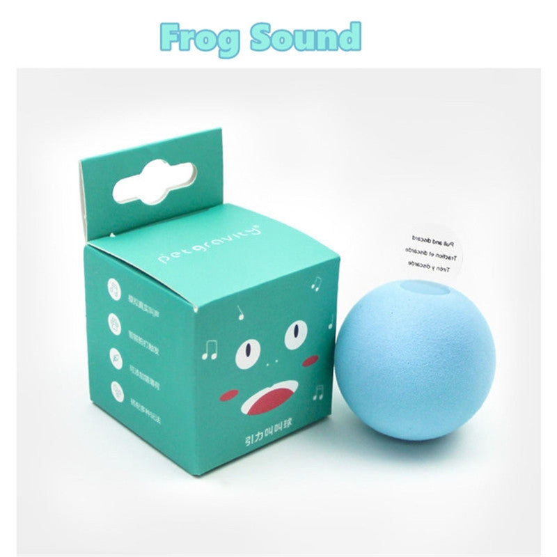 Jouets intelligents pour chats, balle interactive, herbe-aux-chats, jouet, balle de jeu